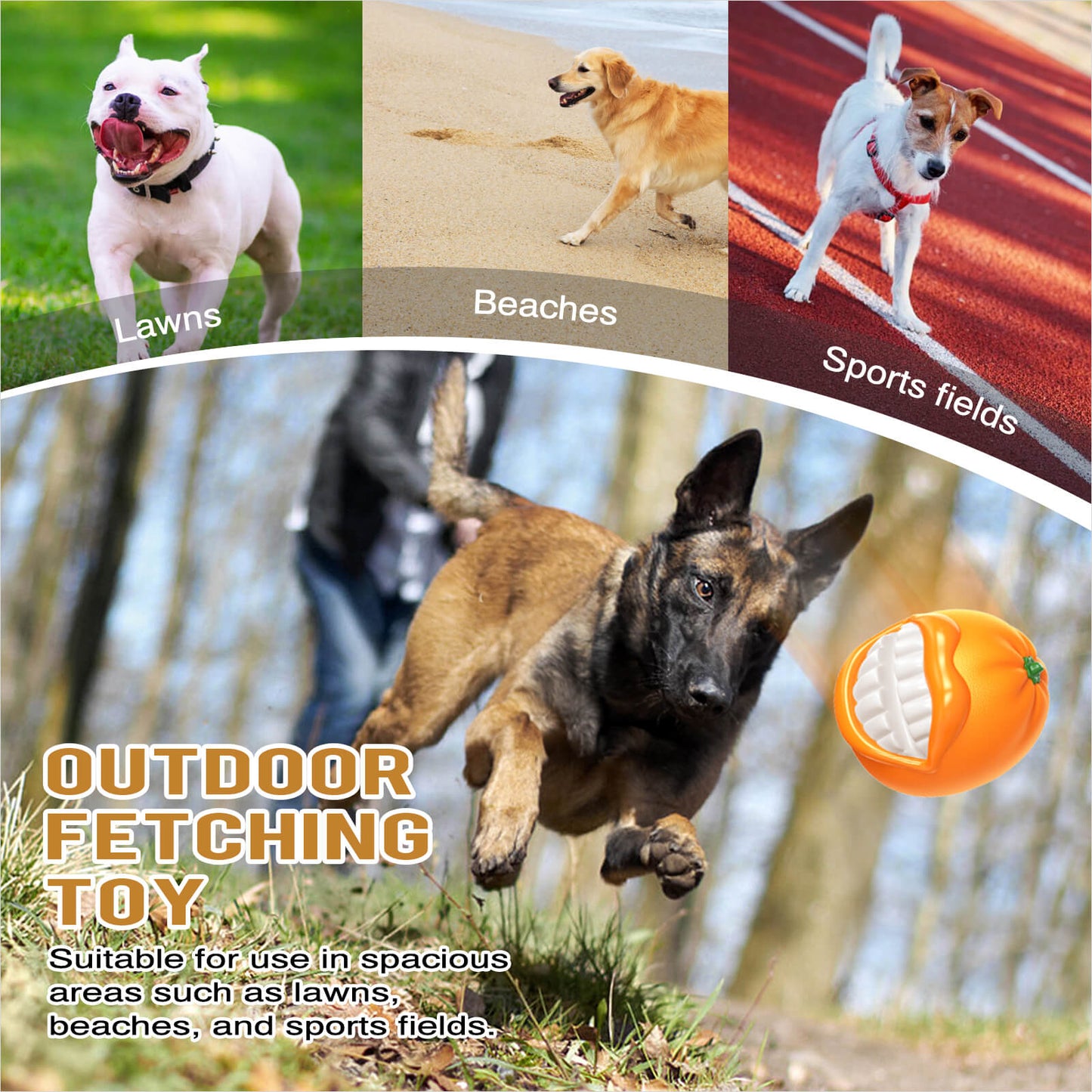 Reliable⢠- Ultimate Tough Chewer Toy