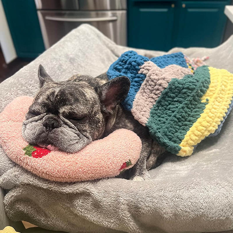 The Calming Pillow by Wowpetsmart®